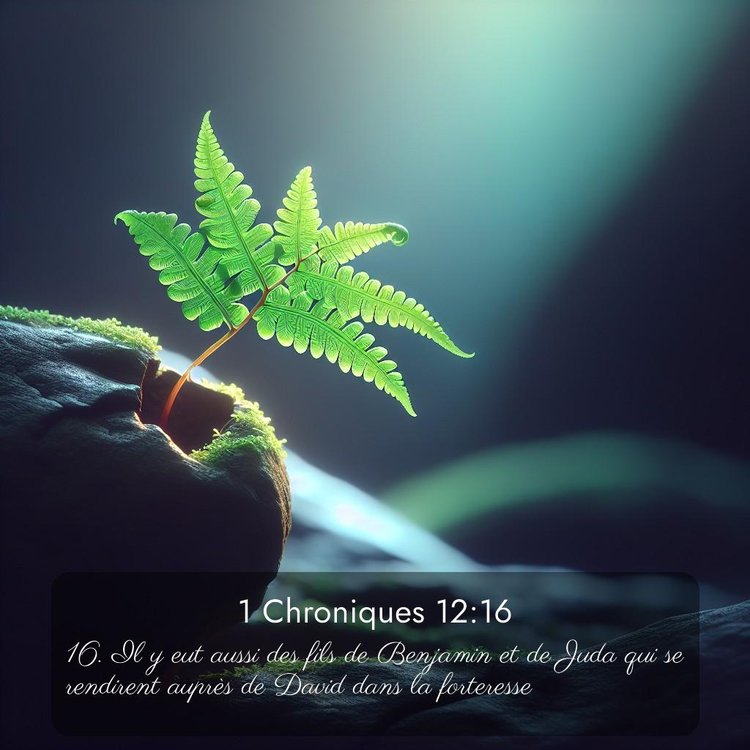 Segond 1 Chroniques 12:16