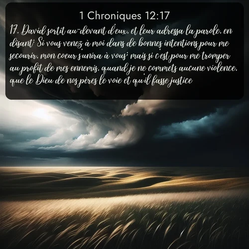 Segond 1 Chroniques  ; image nature: image avec le verset biblique :David sortit au-devant d&#039;eux, et leur adressa la parole, en disant: Si vous venez à moi dans de bonnes intentions pour me secourir, mon coeur s&#039;unira à vous; mais si c&#039;est pour me tromper au profit de mes ennemis, quand je ne commets aucune violence, que le Dieu de nos pères le voie et qu&#039;il fasse justice! ;  ; 12:17