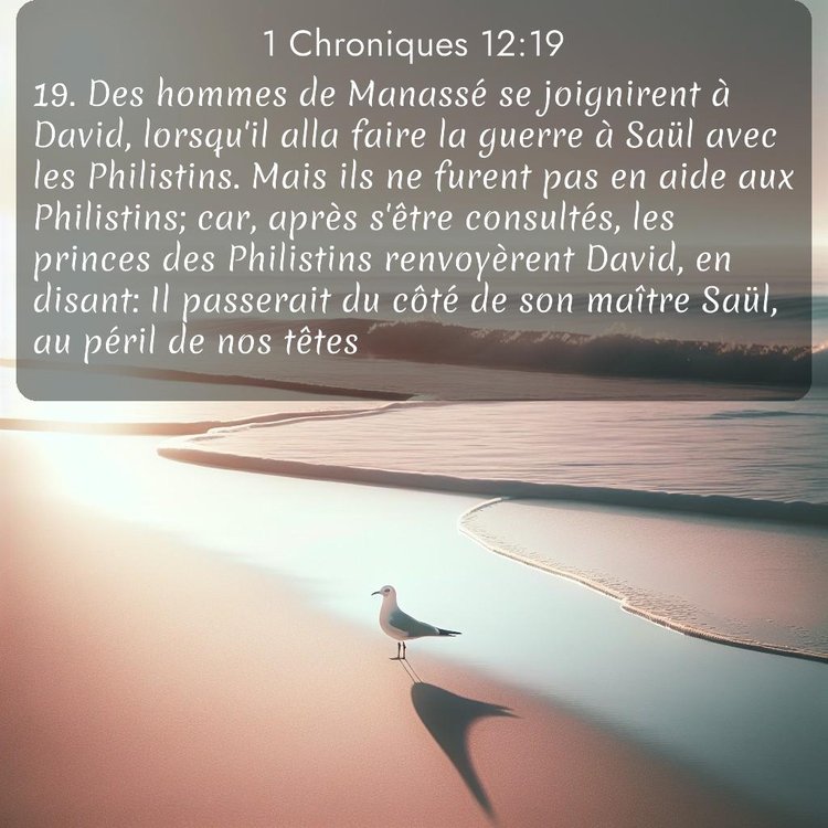 Segond 1 Chroniques 12:19