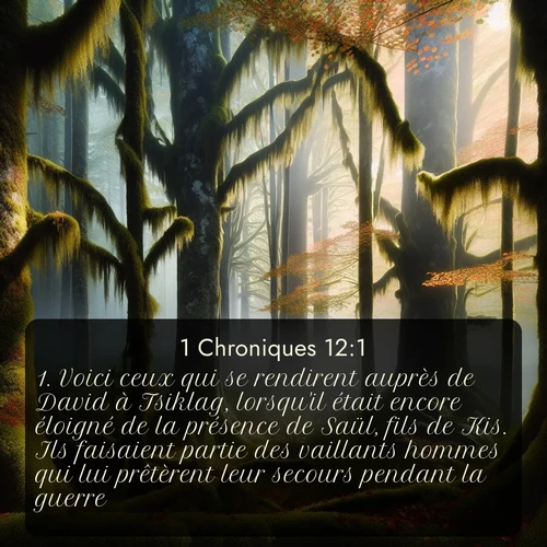 Segond 1 Chroniques  ; image nature: image avec le verset biblique :Voici ceux qui se rendirent auprès de David à Tsiklag, lorsqu&#039;il était encore éloigné de la présence de Saül, fils de Kis. Ils faisaient partie des vaillants hommes qui lui prêtèrent leur secours pendant la guerre. ;  ; 12:1