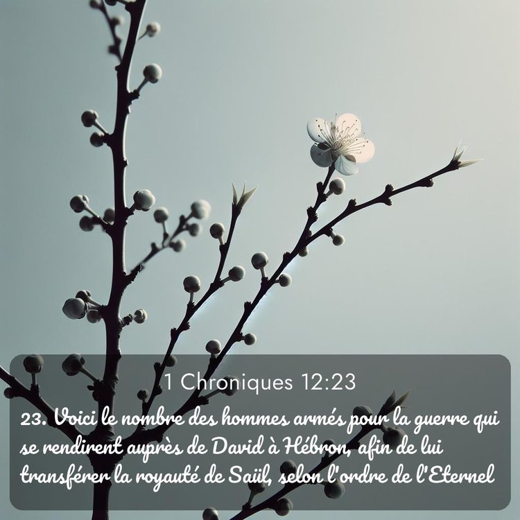 Segond 1 Chroniques 12:23