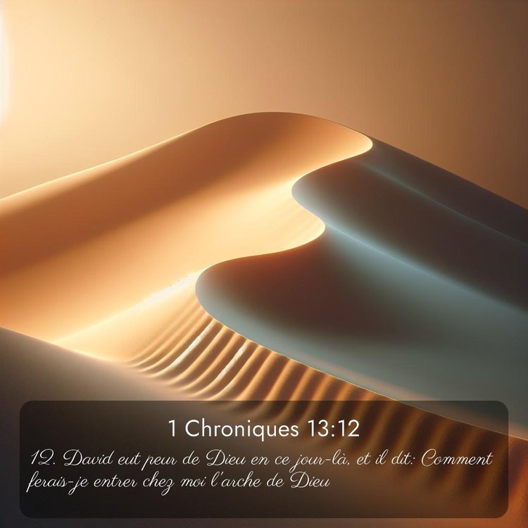 Segond 1 Chroniques 13:12