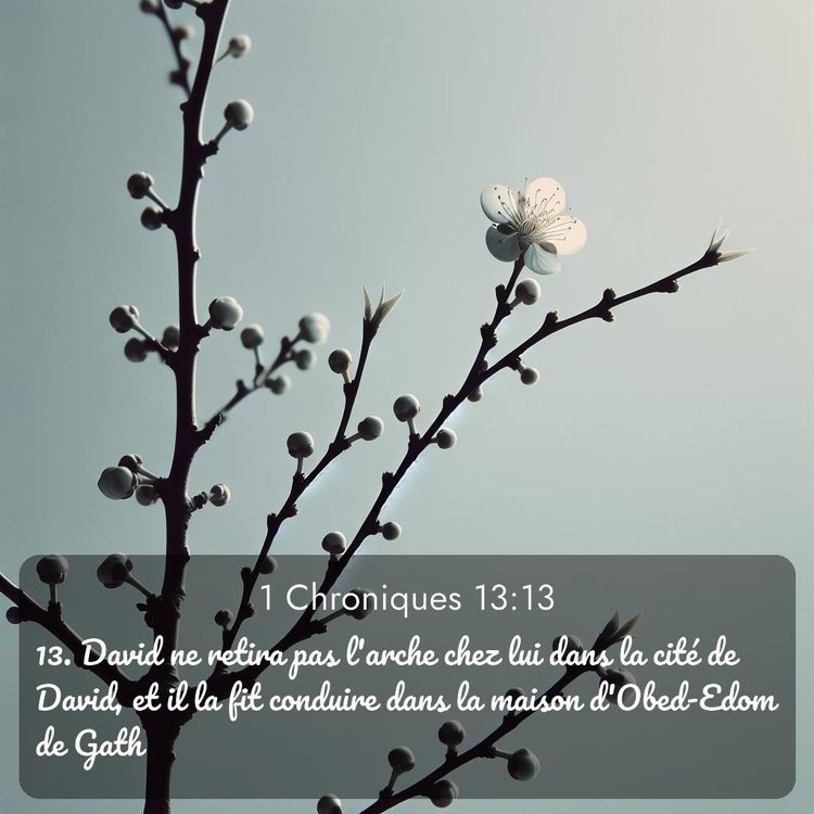 image nature avec verset biblique de la Bible
