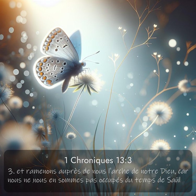 Segond 1 Chroniques 13:3