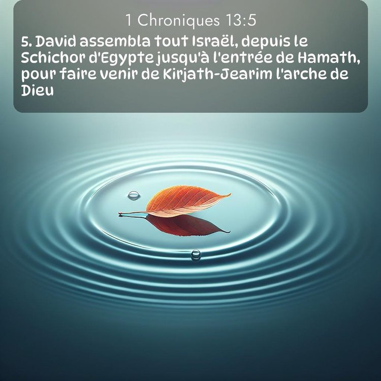 Segond 1 Chroniques 13:5