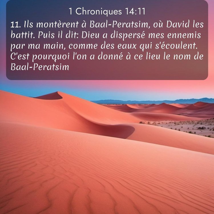 Segond 1 Chroniques 14:11