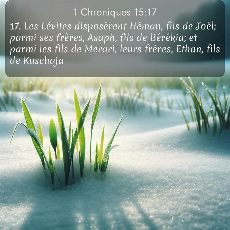 Segond 1 Chroniques 15:17