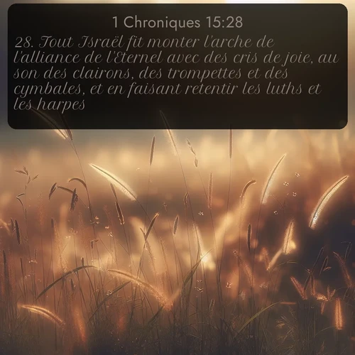 Segond 1 Chroniques  ; image nature: image avec le verset biblique :Tout Israël fit monter l&#039;arche de l&#039;alliance de l&#039;Eternel avec des cris de joie, au son des clairons, des trompettes et des cymbales, et en faisant retentir les luths et les harpes. ;  ; 15:28