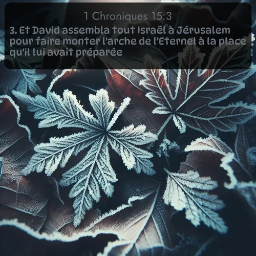 Segond 1 Chroniques  ; image nature: image avec le verset biblique :Et David assembla tout Israël à Jérusalem pour faire monter l&#039;arche de l&#039;Eternel à la place qu&#039;il lui avait préparée. ;  ; 15:3