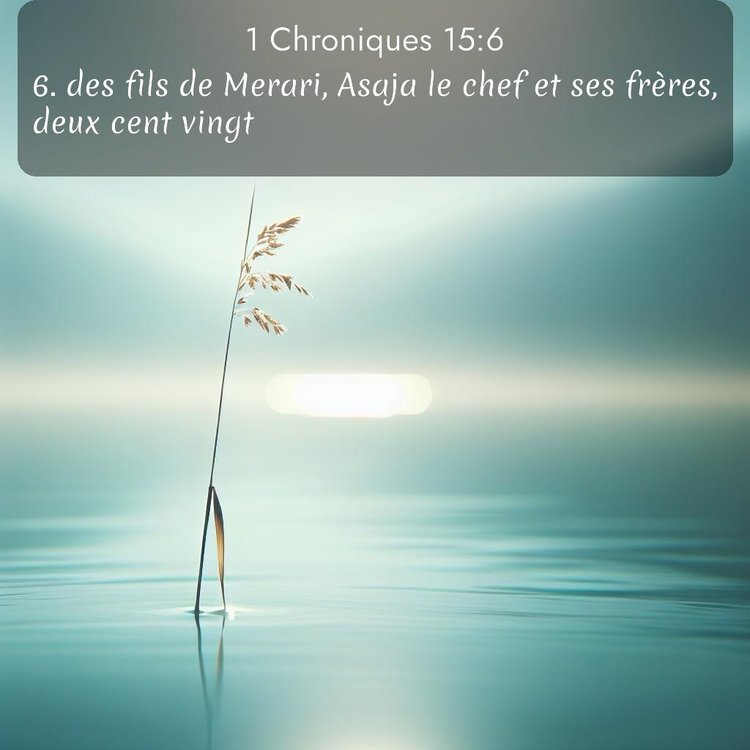 Segond 1 Chroniques 15:6