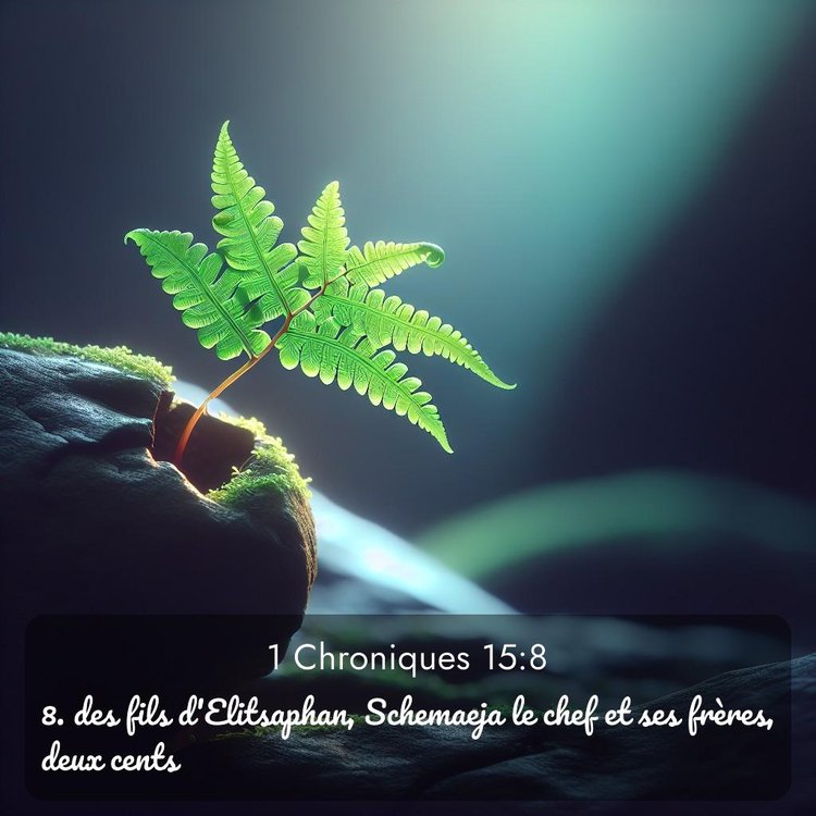 Segond 1 Chroniques 15:8