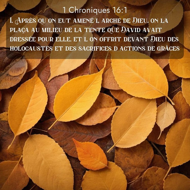image nature avec verset biblique de la Bible