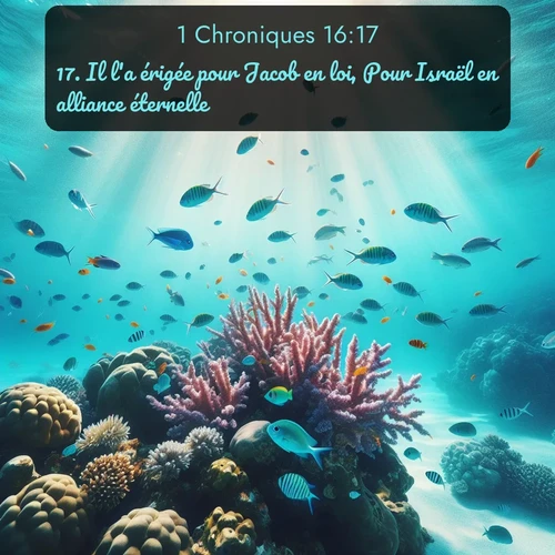 Segond 1 Chroniques  ; image nature: image avec le verset biblique :Il l&#039;a érigée pour Jacob en loi, Pour Israël en alliance éternelle, ;  ; 16:17