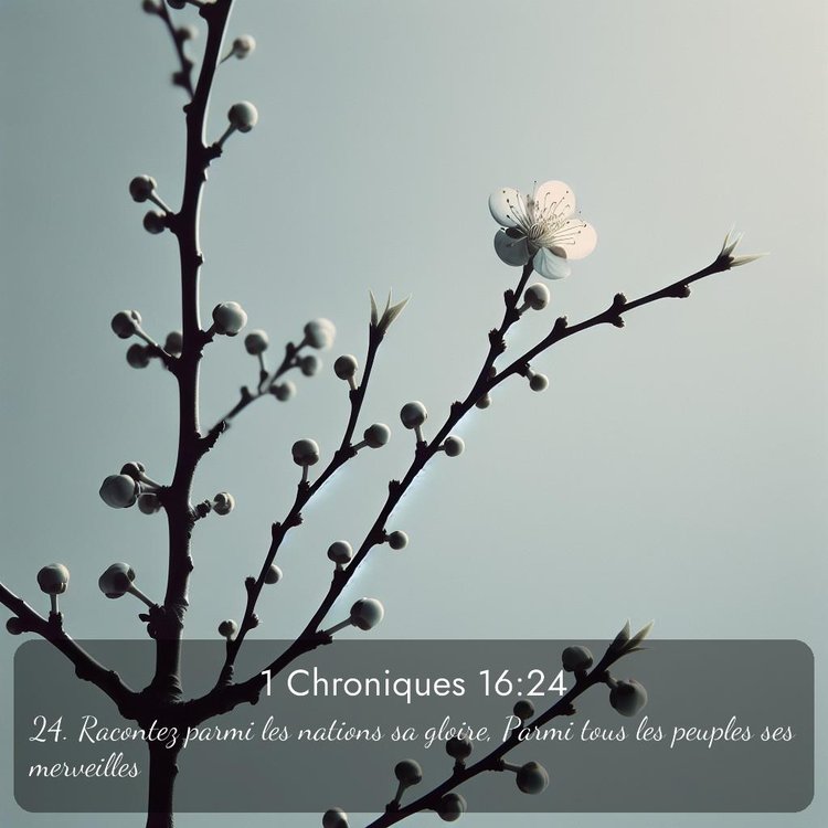 Segond 1 Chroniques 16:24