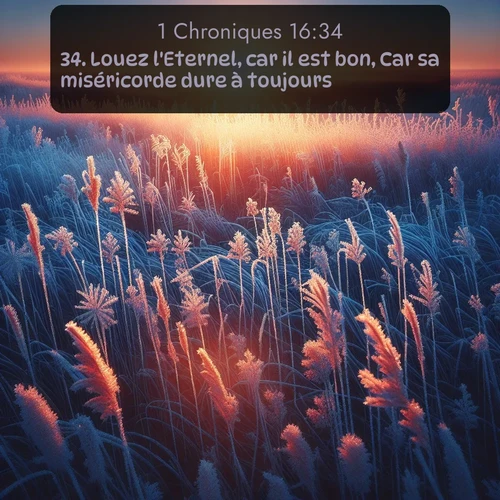 Segond 1 Chroniques  ; image nature: image avec le verset biblique :Louez l&#039;Eternel, car il est bon, Car sa miséricorde dure à toujours! ;  ; 16:34