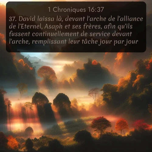 Segond 1 Chroniques  ; image nature: image avec le verset biblique :David laissa là, devant l&#039;arche de l&#039;alliance de l&#039;Eternel, Asaph et ses frères, afin qu&#039;ils fussent continuellement de service devant l&#039;arche, remplissant leur tâche jour par jour. ;  ; 16:37