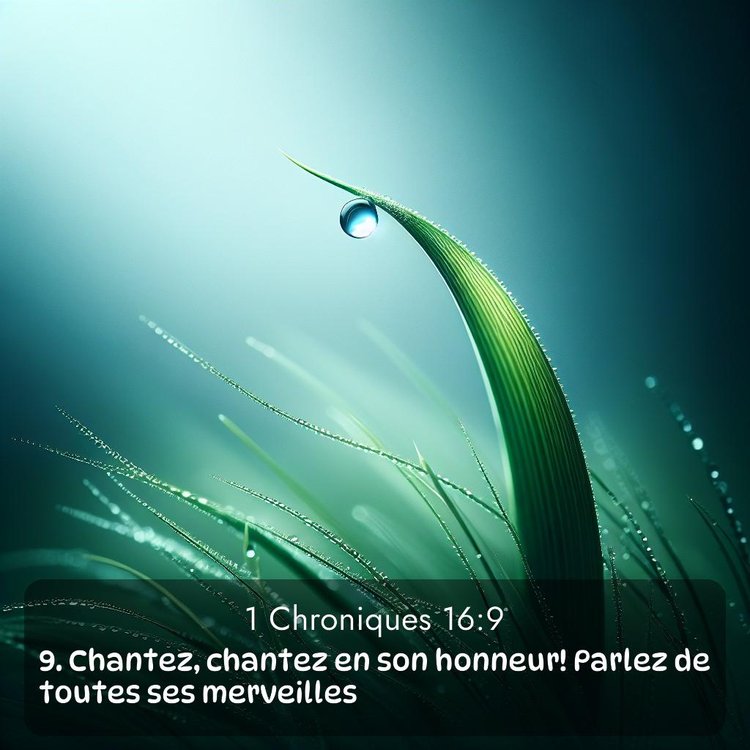 Segond 1 Chroniques 16:9