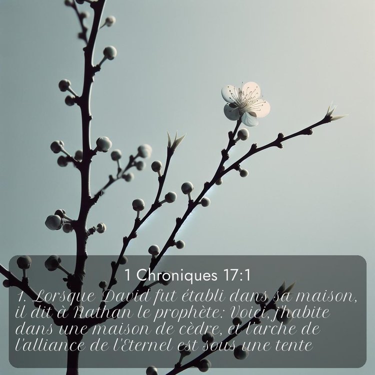 image nature avec verset biblique de la Bible