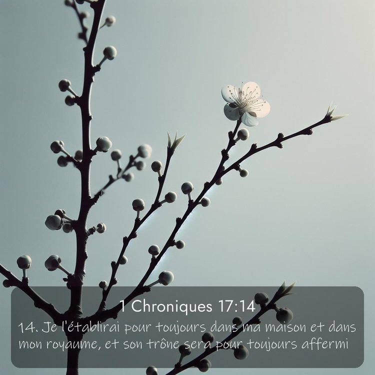 Segond 1 Chroniques 17:14