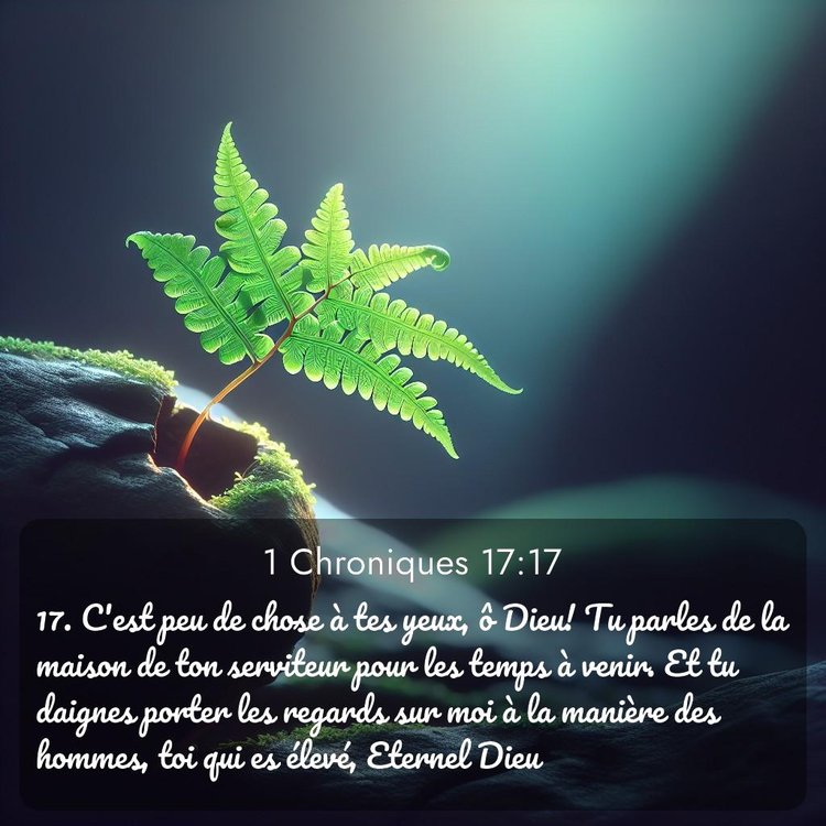 image nature avec verset biblique de la Bible