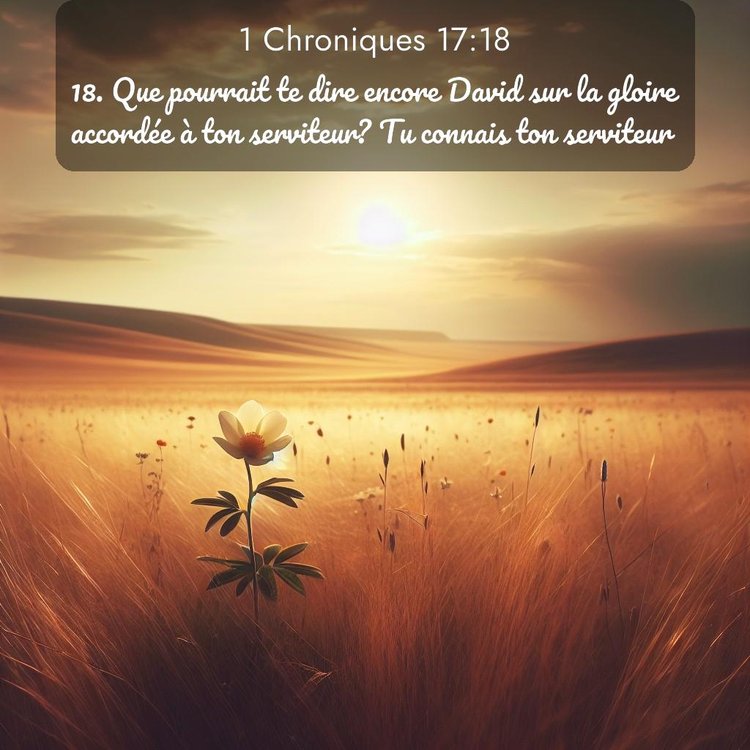 Segond 1 Chroniques 17:18