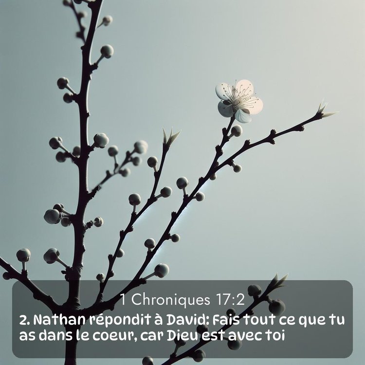 Segond 1 Chroniques 17:2