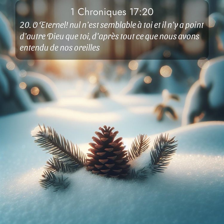 Segond 1 Chroniques 17:20