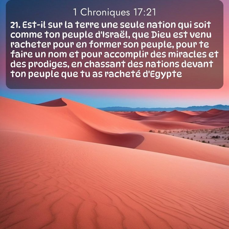 Segond 1 Chroniques 17:21