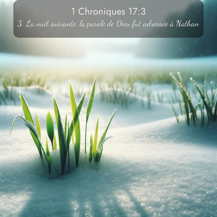 Segond 1 Chroniques 17:3