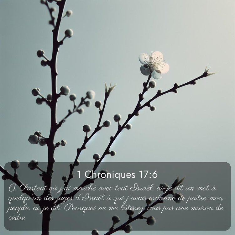 image nature avec verset biblique de la Bible