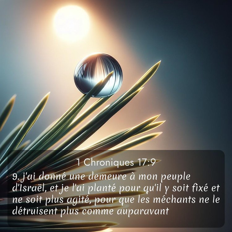 Segond 1 Chroniques 17:9