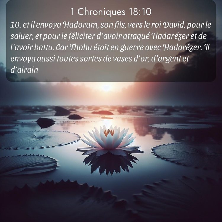 Segond 1 Chroniques 18:10