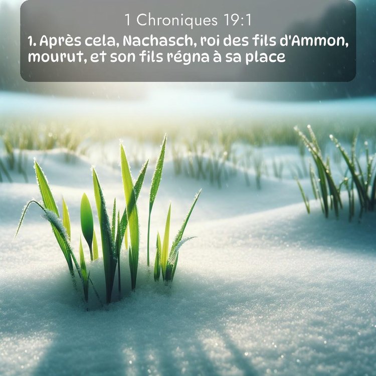 Segond 1 Chroniques 19:1