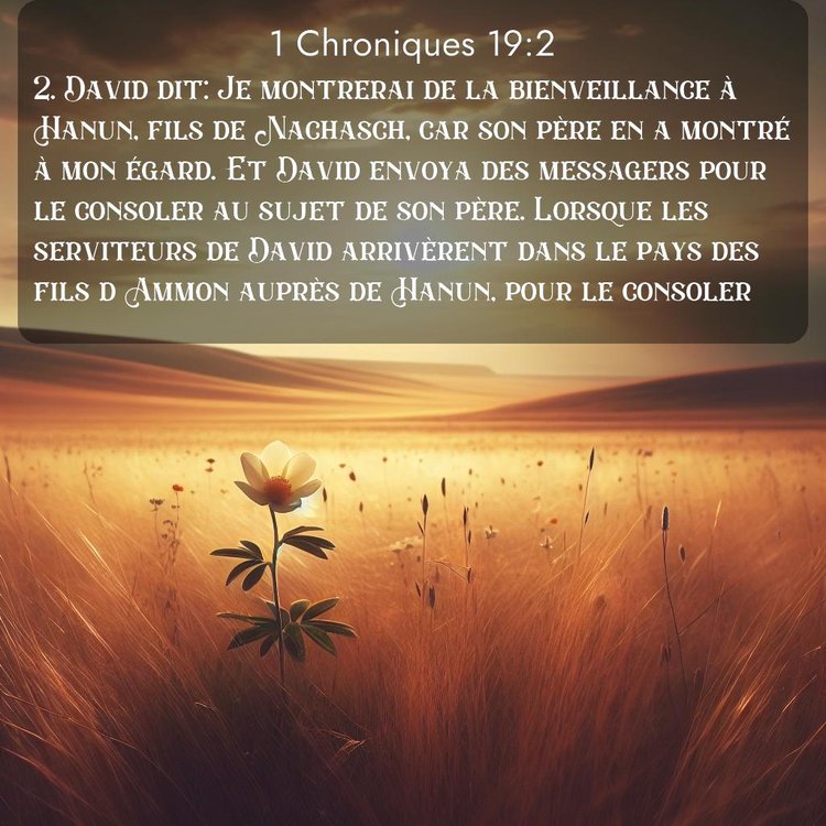 Segond 1 Chroniques 19:2