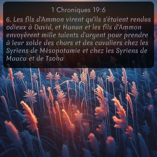 Segond 1 Chroniques  ; image nature: image avec le verset biblique :Les fils d&#039;Ammon virent qu&#039;ils s&#039;étaient rendus odieux à David, et Hanun et les fils d&#039;Ammon envoyèrent mille talents d&#039;argent pour prendre à leur solde des chars et des cavaliers chez les Syriens de Mésopotamie et chez les Syriens de Maaca et de Tsoba. ;  ; 19:6