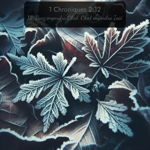 Segond 1 Chroniques  ; image nature: image avec le verset biblique :Boaz engendra Obed. Obed engendra Isaï. ;  ; 2:12