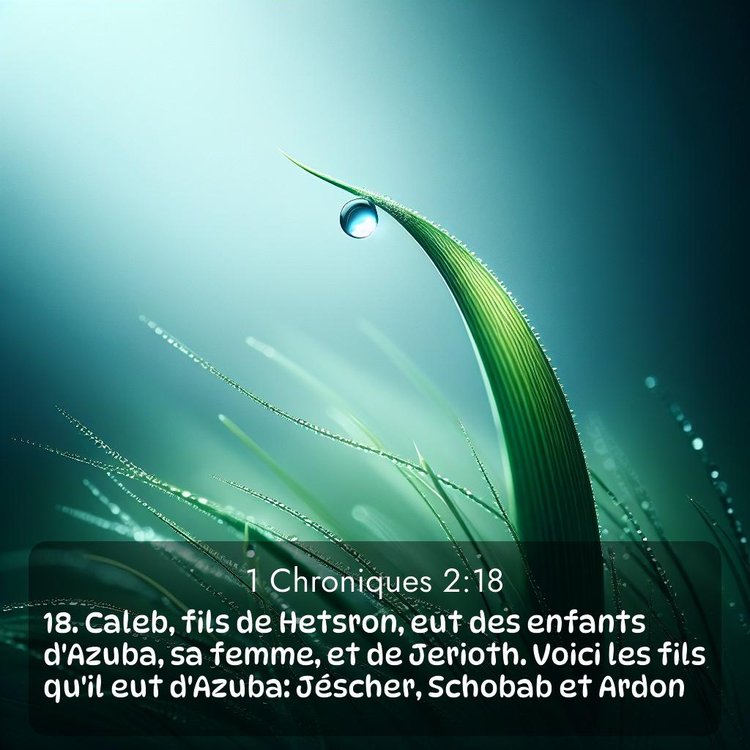 Segond 1 Chroniques 2:18