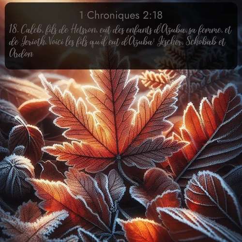 Segond 1 Chroniques  ; image nature: image avec le verset biblique :Caleb, fils de Hetsron, eut des enfants d&#039;Azuba, sa femme, et de Jerioth. Voici les fils qu&#039;il eut d&#039;Azuba: Jéscher, Schobab et Ardon. ;  ; 2:18