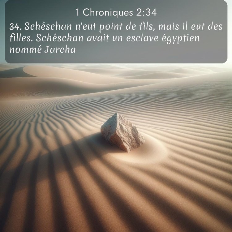 Segond 1 Chroniques 2:34