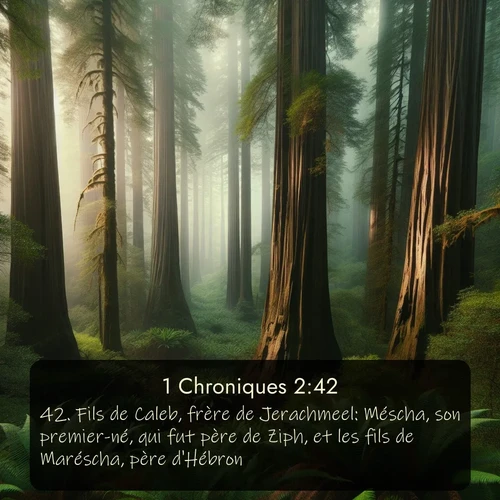 Segond 1 Chroniques  ; image nature: image avec le verset biblique :Fils de Caleb, frère de Jerachmeel: Méscha, son premier-né, qui fut père de Ziph, et les fils de Maréscha, père d&#039;Hébron. ;  ; 2:42