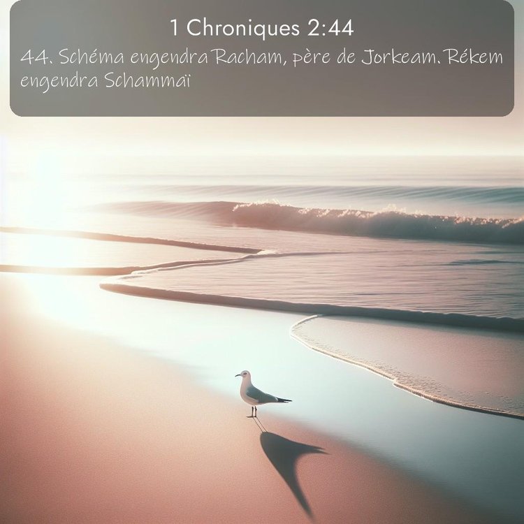 Segond 1 Chroniques 2:44