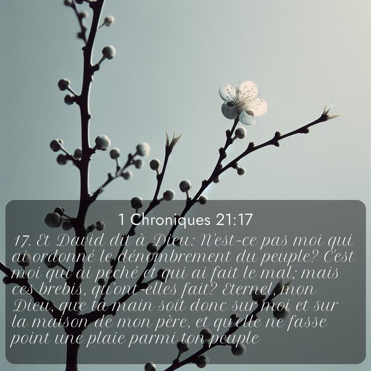 Segond 1 Chroniques 21:17