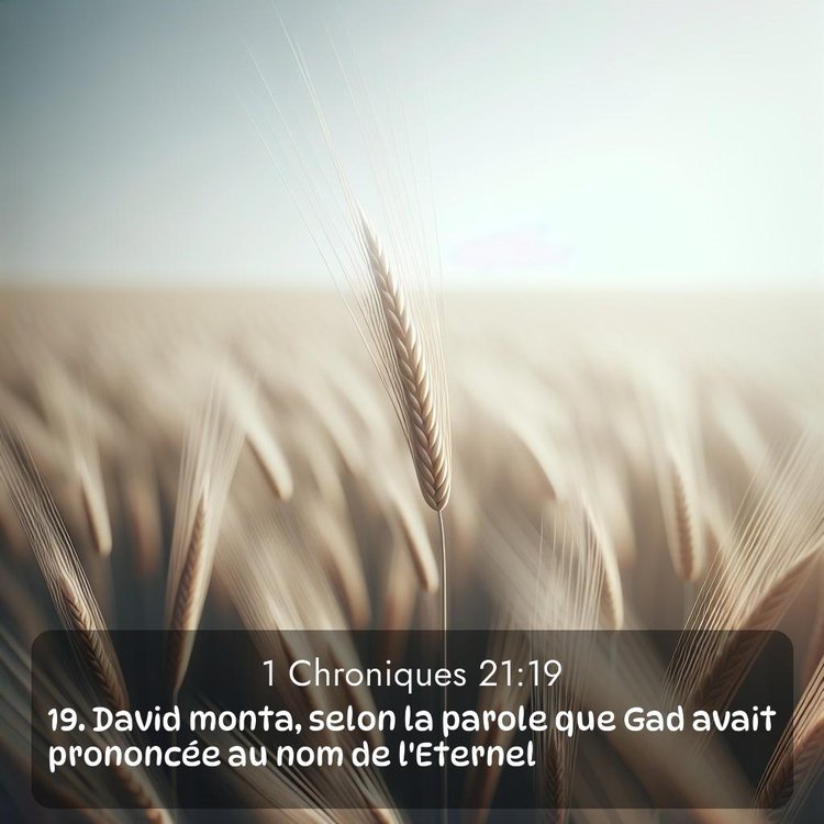 Segond 1 Chroniques 21:19