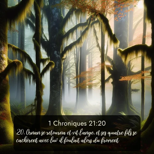 Segond 1 Chroniques  ; image nature: image avec le verset biblique :Ornan se retourna et vit l&#039;ange, et ses quatre fils se cachèrent avec lui: il foulait alors du froment. ;  ; 21:20
