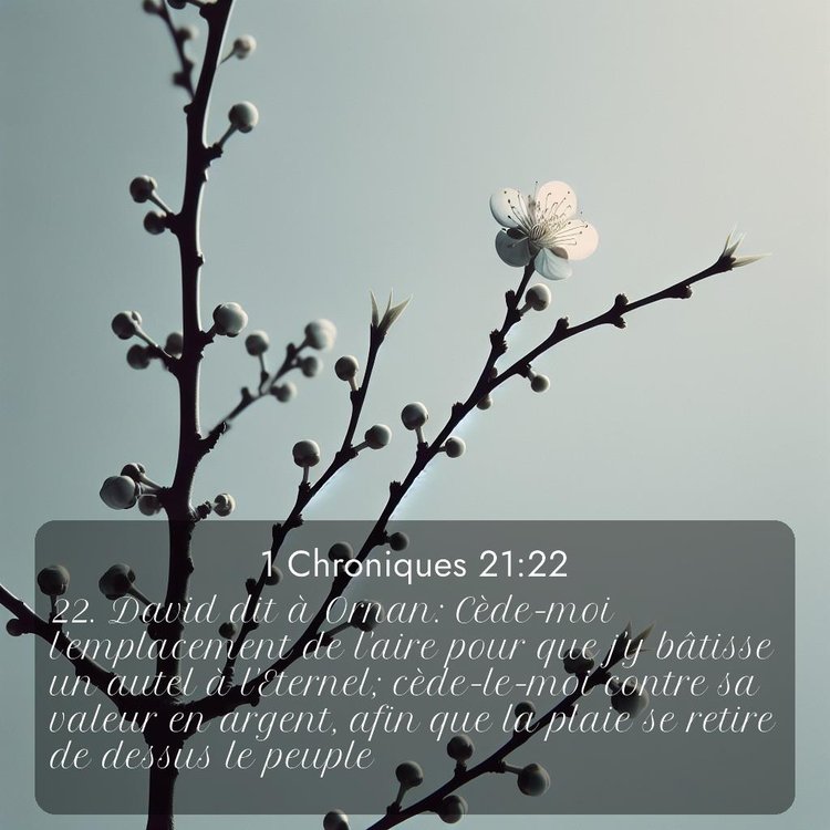 Segond 1 Chroniques 21:22