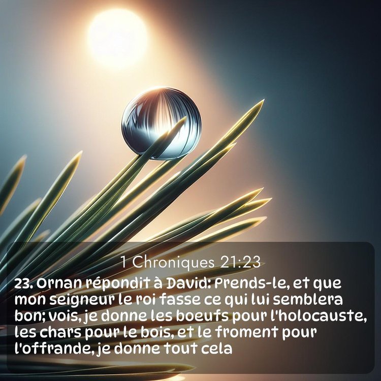 image nature avec verset biblique de la Bible