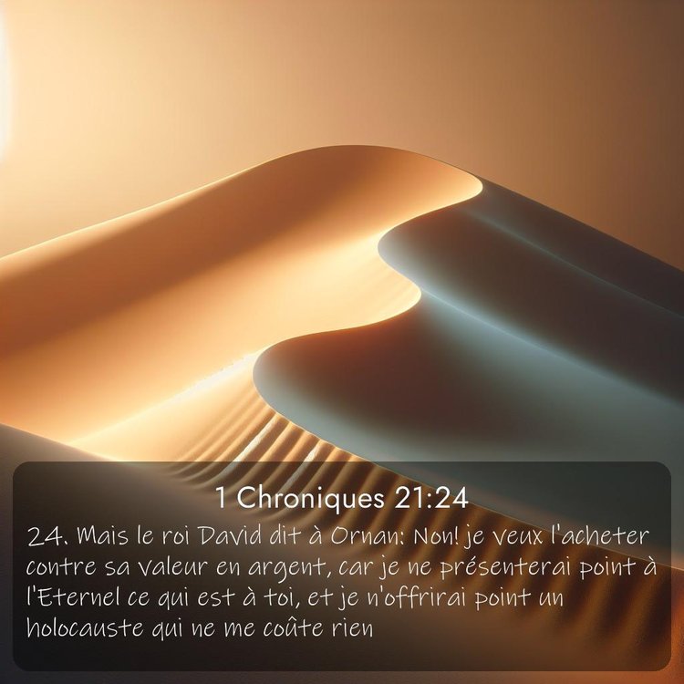 Segond 1 Chroniques 21:24