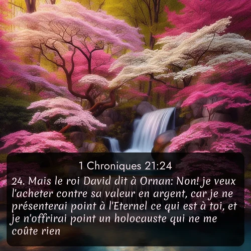 Segond 1 Chroniques  ; image nature: image avec le verset biblique :Mais le roi David dit à Ornan: Non! je veux l&#039;acheter contre sa valeur en argent, car je ne présenterai point à l&#039;Eternel ce qui est à toi, et je n&#039;offrirai point un holocauste qui ne me coûte rien. ;  ; 21:24