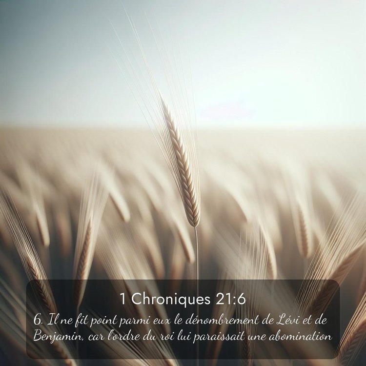 Segond 1 Chroniques 21:6