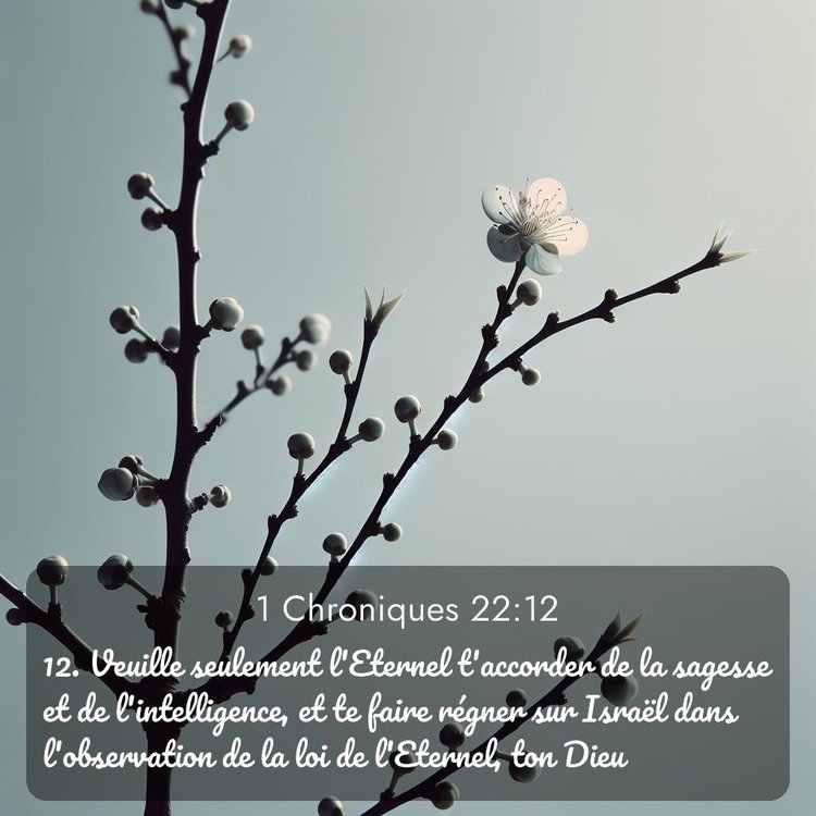 Segond 1 Chroniques 22:12